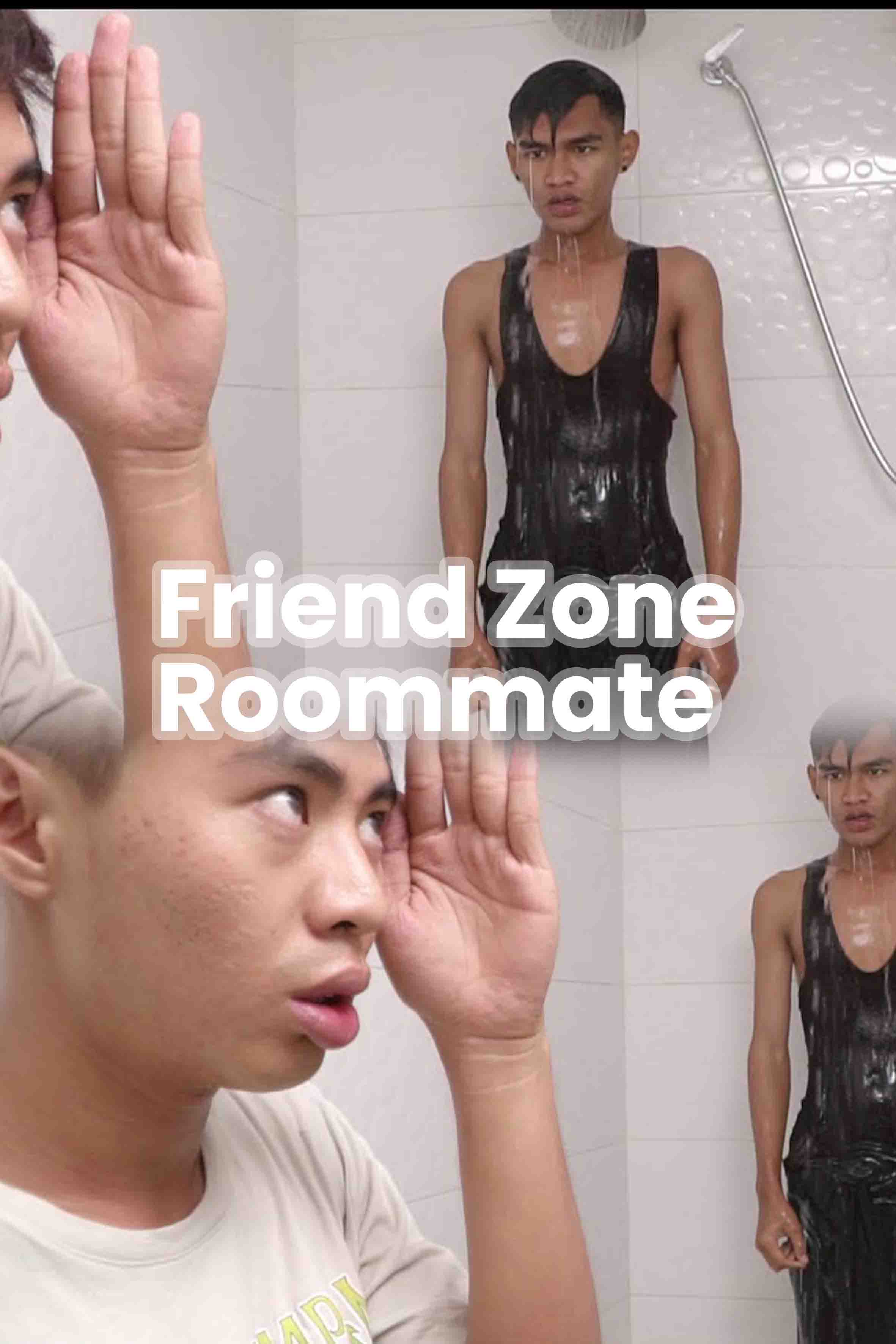 Friend Zone Roommate 